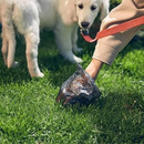 Saco Higiênico Para Cães 30un - Theoto
